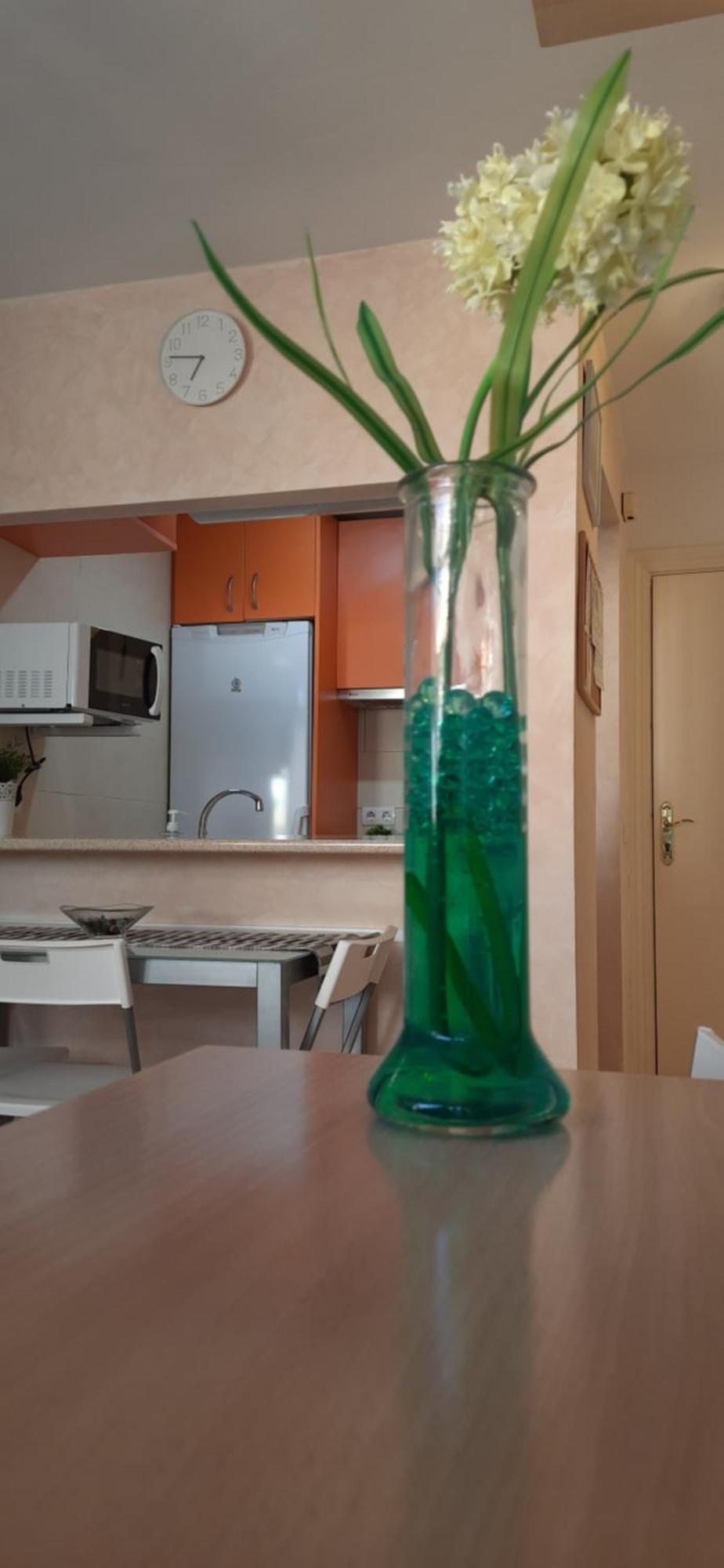 Centrico Y Acogedor Estudio Apartment Malaga